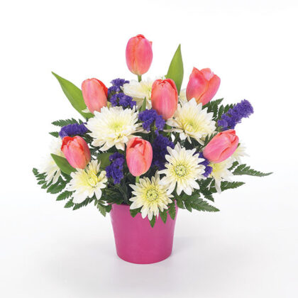 fresh flower arrangement with cushion poms, tulips and statice in a bright pink container.